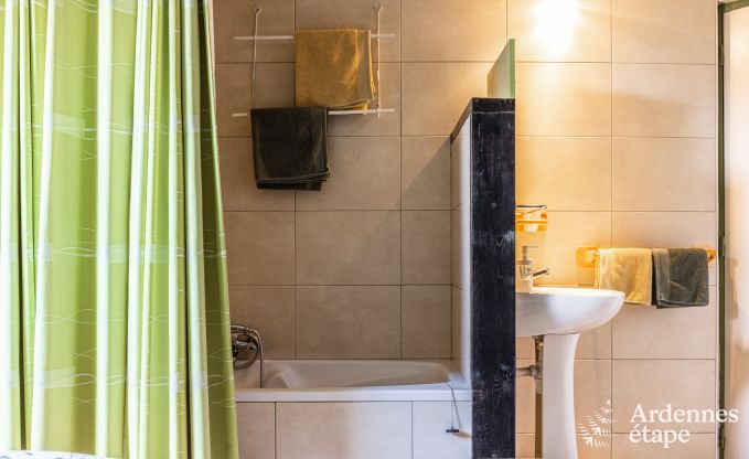 Vakantiehuis in Baives (FR) voor 10 personen in de Ardennen