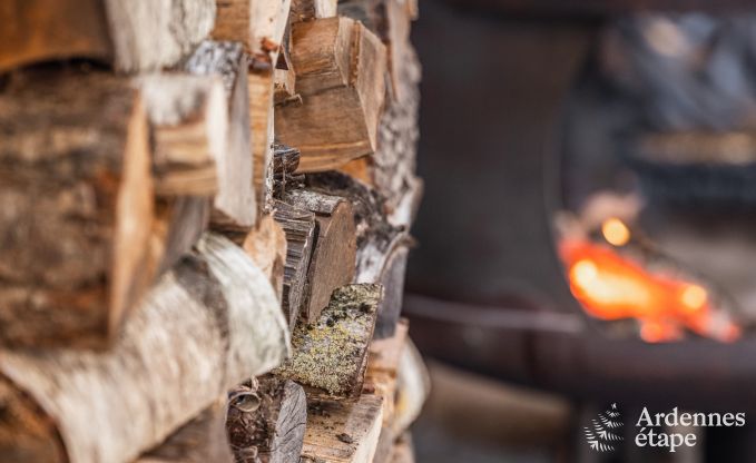 Vakantiehuis in Baives (FR) voor 10 personen in de Ardennen