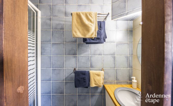 Vakantiehuis in Baives (FR) voor 10 personen in de Ardennen