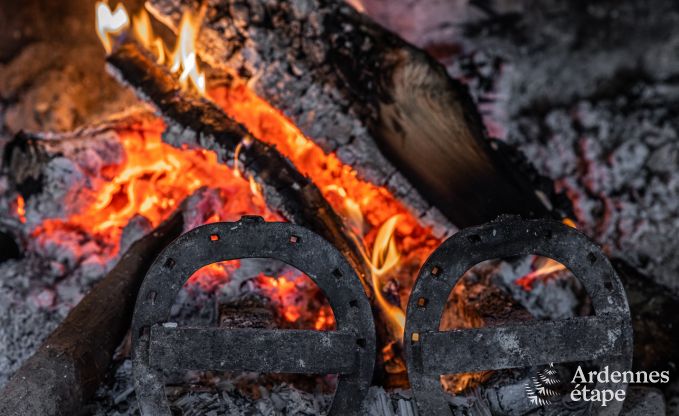 Vakantiehuis in Baives (FR) voor 10 personen in de Ardennen