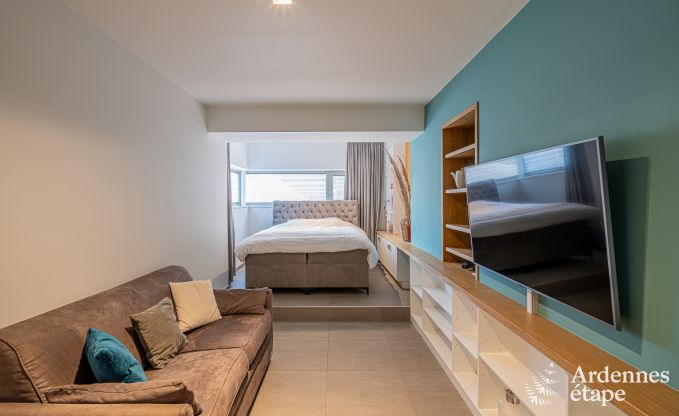 Appartement voor 4 personen in Barvaux: moderne accommodatie met sauna, tuin en babybedje