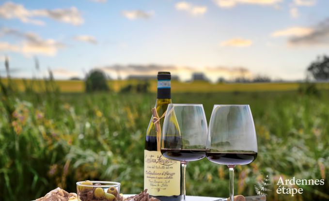 Buitengewoon vakantiehuis in Bastogne, Ardennen