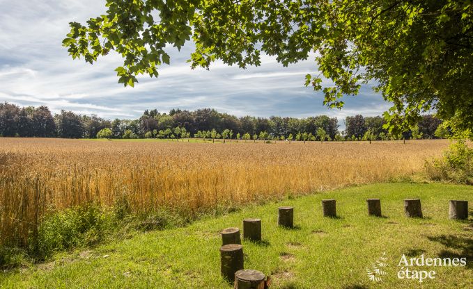 Kasteel in Bastogne voor 12/15 personen in de Ardennen