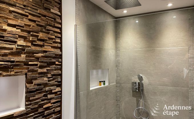 Kasteel in Bastogne voor 12/15 personen in de Ardennen