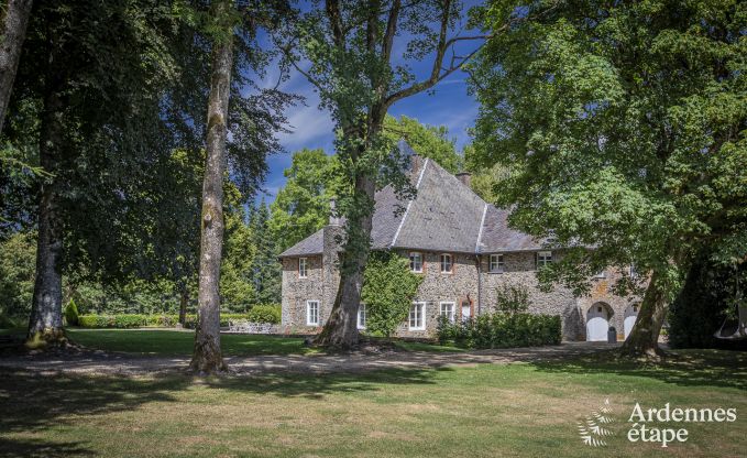 Kasteel in Bastogne voor 12/15 personen in de Ardennen