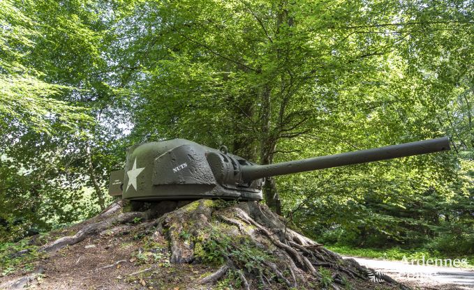 Kasteel in Bastogne voor 12/15 personen in de Ardennen