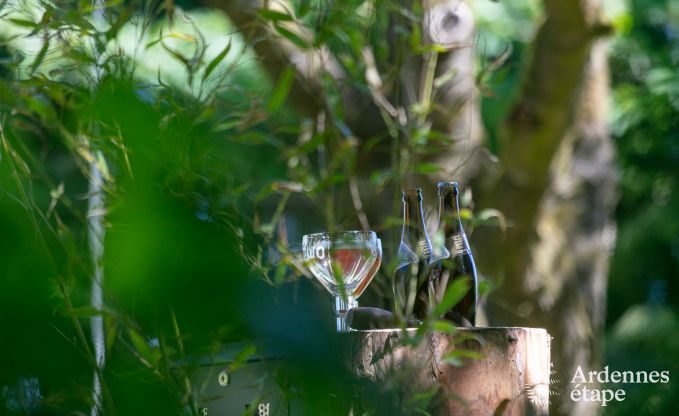 Vakantiehuis in Bastogne voor 12 personen in de Ardennen