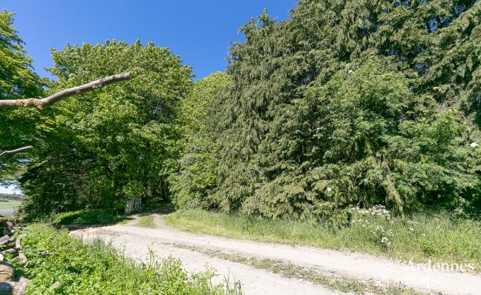 Vakantiehuis in Bastogne voor 12 personen in de Ardennen