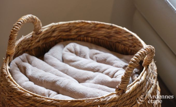 Knap gerestaureerd vakantiehuis in Bastogne, Ardennen