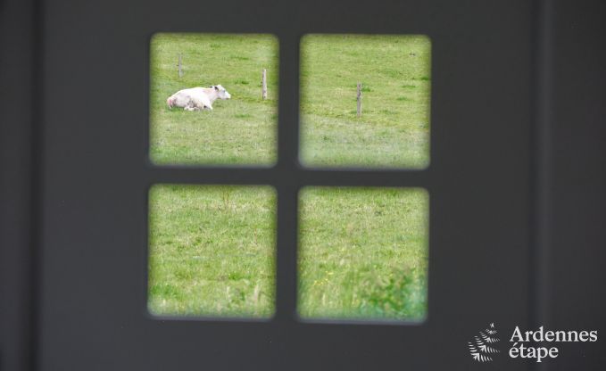 Knap gerestaureerd vakantiehuis in Bastogne, Ardennen