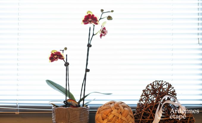 Vakantiehuis in Bastogne voor 8 personen in de Ardennen