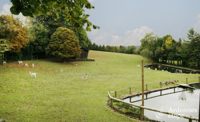 Vakantiehuis in Bastogne voor 4 personen in de Ardennen