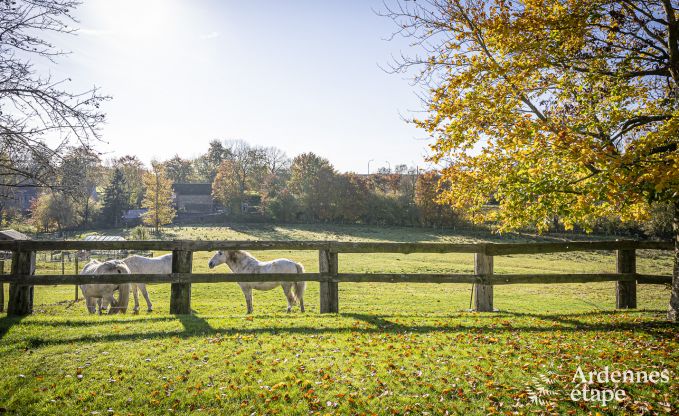 Vakantiehuis in Bastogne voor 12 personen in de Ardennen