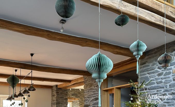 Ruim, hondvriendelijk vakantiehuis voor 14 in Bastogne, Ardennen