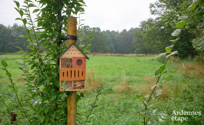 Vakantiehuis in Bastogne: authentieke vakantiewoning voor 16 personen met moderne voorzieningen in de Ardennen