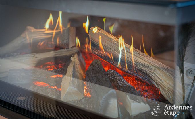 Vakantiewoning in Bastogne: ruime accommodatie voor 22 personen met uitgebreide faciliteiten en 9 slaapkamers in de Ardennen