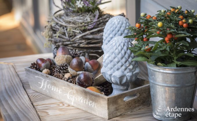 Chalet in Beauraing voor 4 personen in de Ardennen