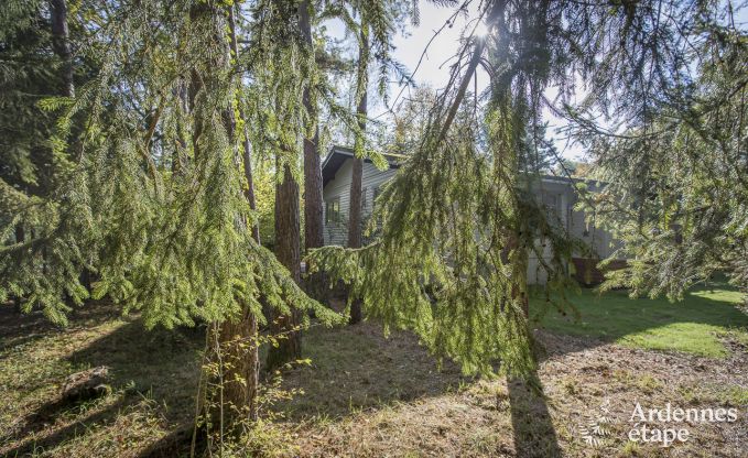 Chalet in Beauraing voor 4 personen in de Ardennen