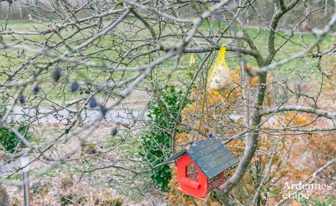 Chalet in Beauraing voor 8 personen in de Ardennen