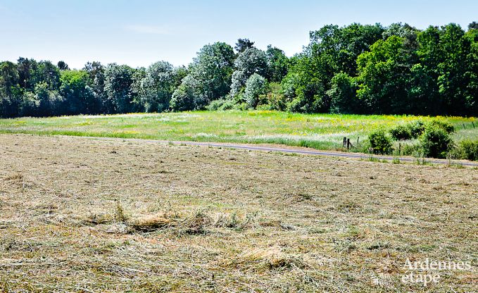 Chalet in Beauraing voor 4 personen in de Ardennen
