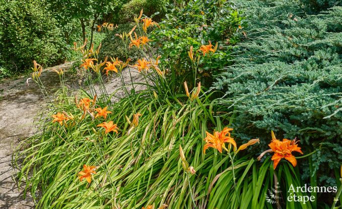 Luxe chalet met sauna in Beauraing, Ardennen