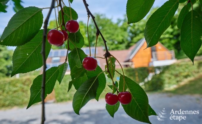 Luxe chalet met sauna in Beauraing, Ardennen
