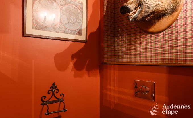 Kasteel in Beauraing voor 12 personen in de Ardennen