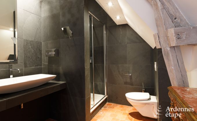 Kasteel in Beauraing voor 12 personen in de Ardennen