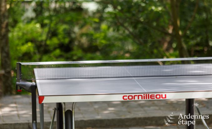 Kasteel in Beauraing voor 12 personen in de Ardennen