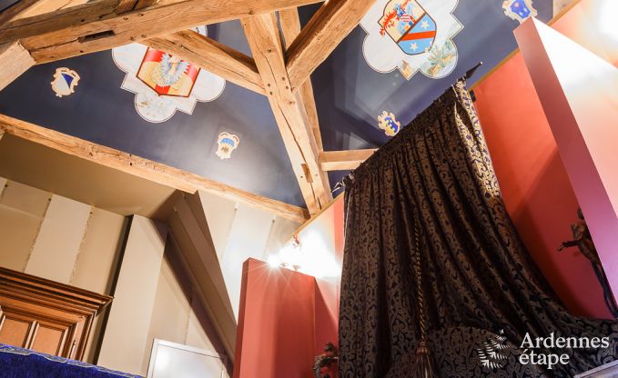 Kasteel in Beauraing voor 12 personen in de Ardennen