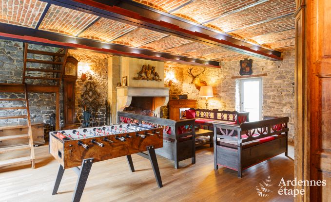 Kasteel in Beauraing voor 12 personen in de Ardennen