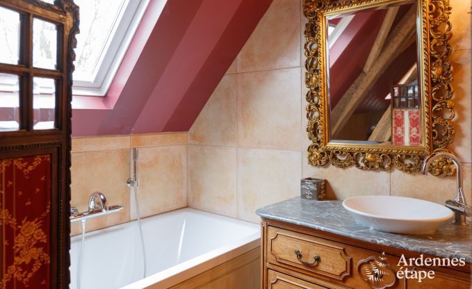 Kasteel in Beauraing voor 12 personen in de Ardennen