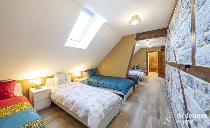 Kasteel in Beauraing voor 38 personen in de Ardennen