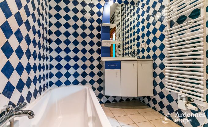 Kasteel in Beauraing voor 20 personen in de Ardennen