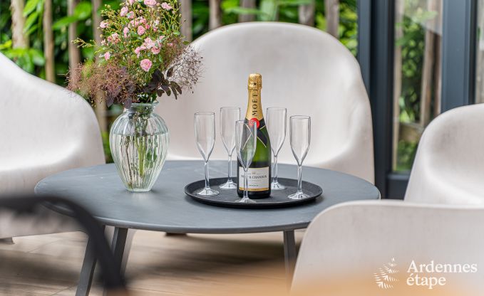 Kasteel in Beauraing voor 20 personen in de Ardennen