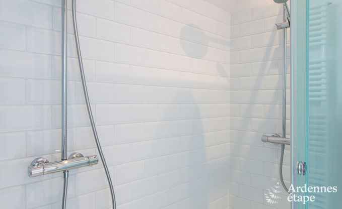 Vakantiehuis in Beauraing voor 15 personen in de Ardennen