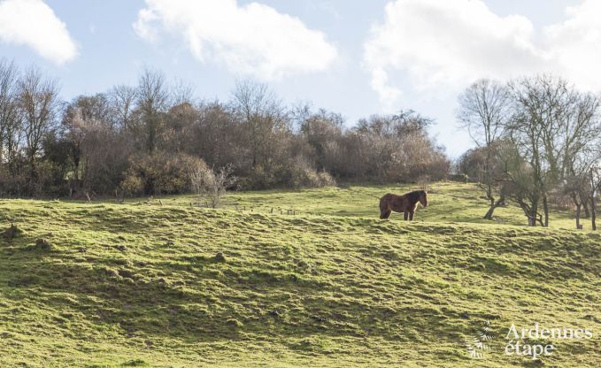 Vakantiehuis in Beauraing voor 4 personen in de Ardennen