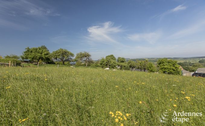 Vakantiehuis in Beauraing voor 12 personen in de Ardennen