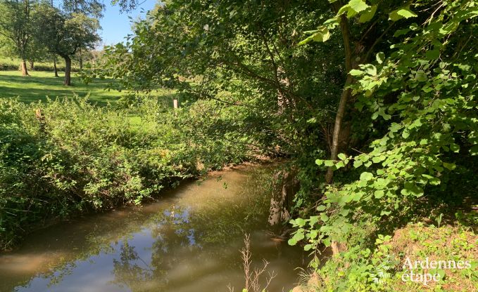 Charmante en ruime vakantiewoning met zwembad in Beauraing, Ardennen
