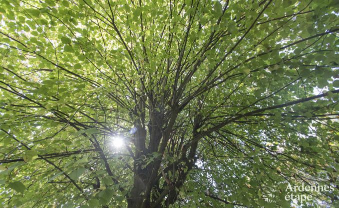 Chalet in Beauraing voor 4 personen in de Ardennen