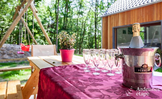 Chalet in Beauraing voor 12 personen in de Ardennen