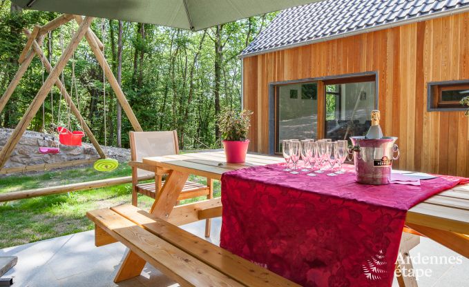 Chalet in Beauraing voor 12 personen in de Ardennen
