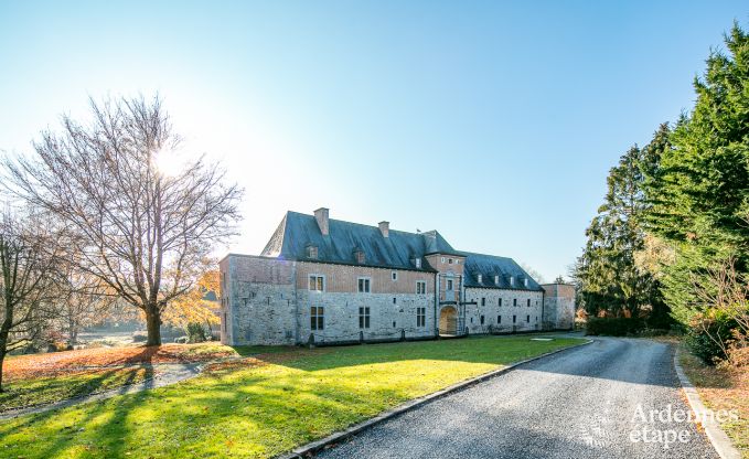 Kasteel in Beauraing voor 20 personen in de Ardennen