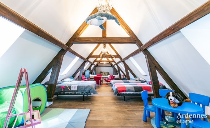 Kasteel in Beauraing voor 20 personen in de Ardennen