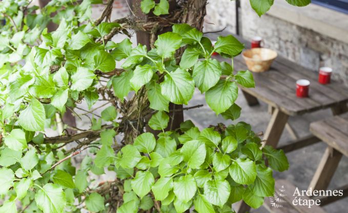 Vakantiehuis in Beauraing voor 20/24 personen in de Ardennen