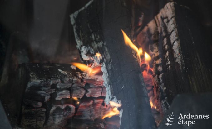 Vakantiehuis in Beauraing voor 12 personen in de Ardennen