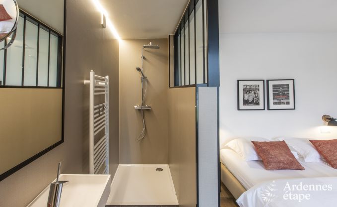 Prachtig kasteel in Bertrix: accommodatie voor 20 personen met binnenzwembad, jacuzzi en infraroodcabine