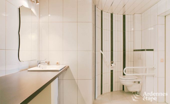 Vakantiehuis in Bertrix (Jehonville) voor 21 personen in de Ardennen