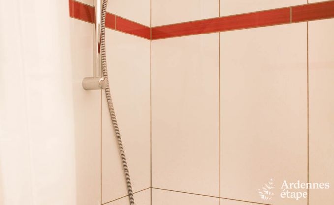 Vakantiehuis in Bertrix (Jehonville) voor 21 personen in de Ardennen