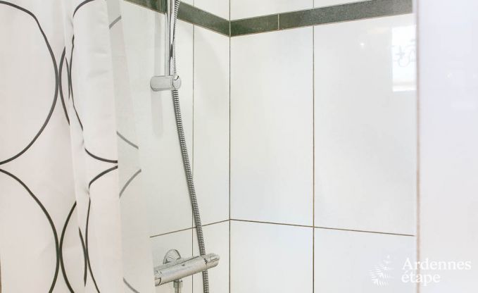 Vakantiehuis in Bertrix (Jehonville) voor 21 personen in de Ardennen